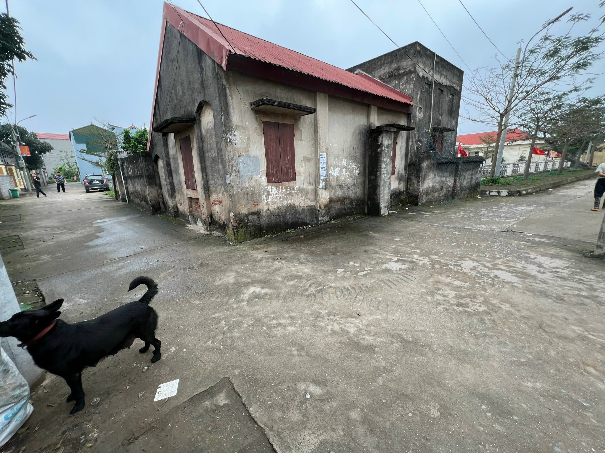 z5261016714442_4c43f3bf60ee2963f847d69611584fa6