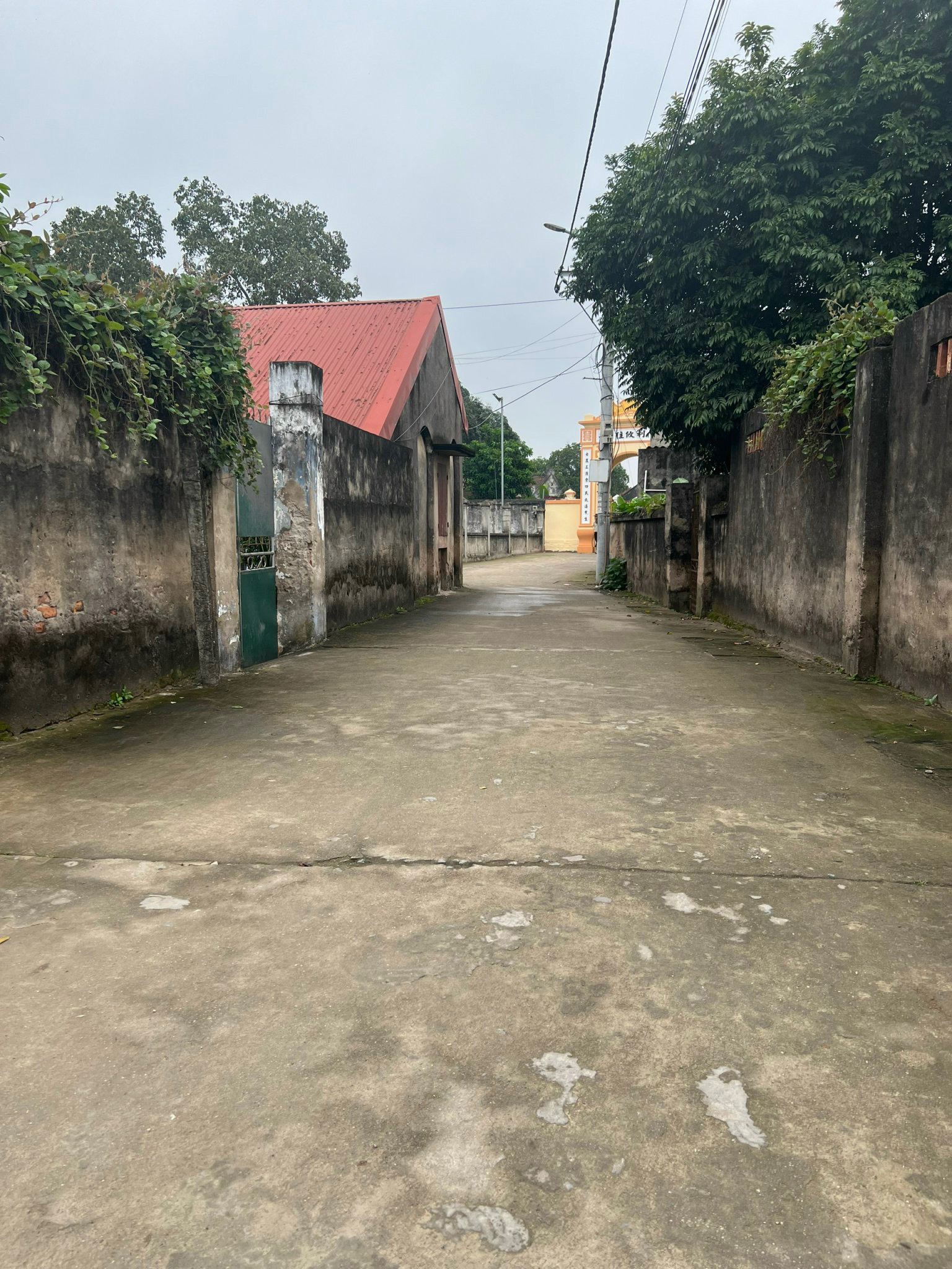 z5261016731242_06ce641489a5836c38a6423655d94b06