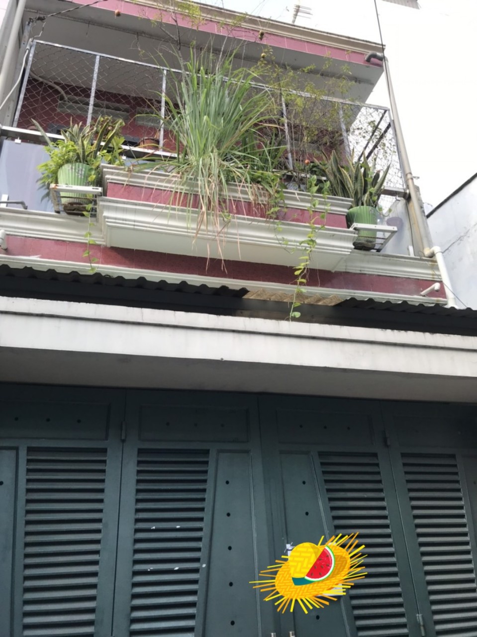 z5262153265964_937197dc588a3755bdc2a20417329adf