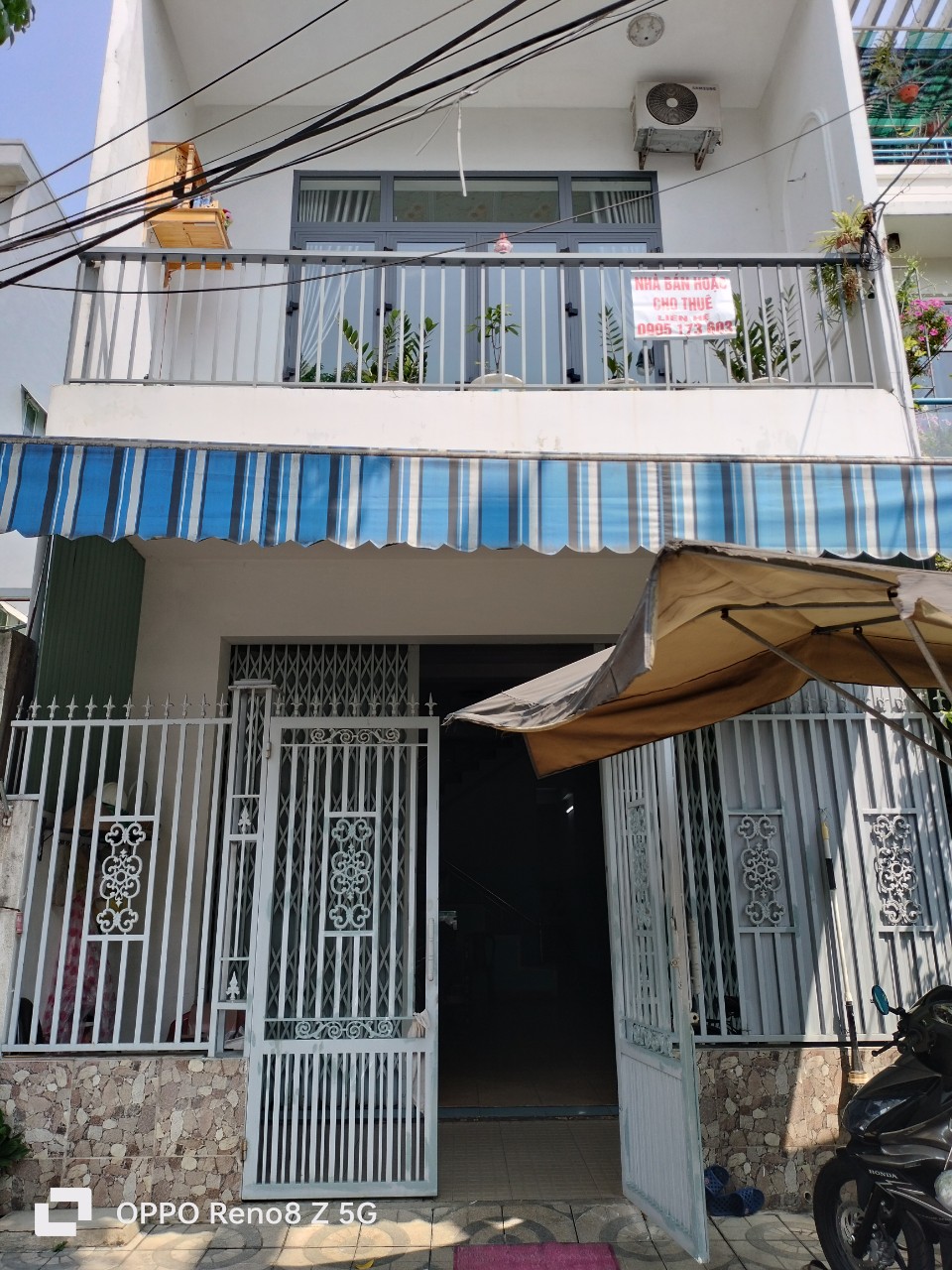 z5263174202277_d7d50ba782c9dd9cf562d3b670009d31