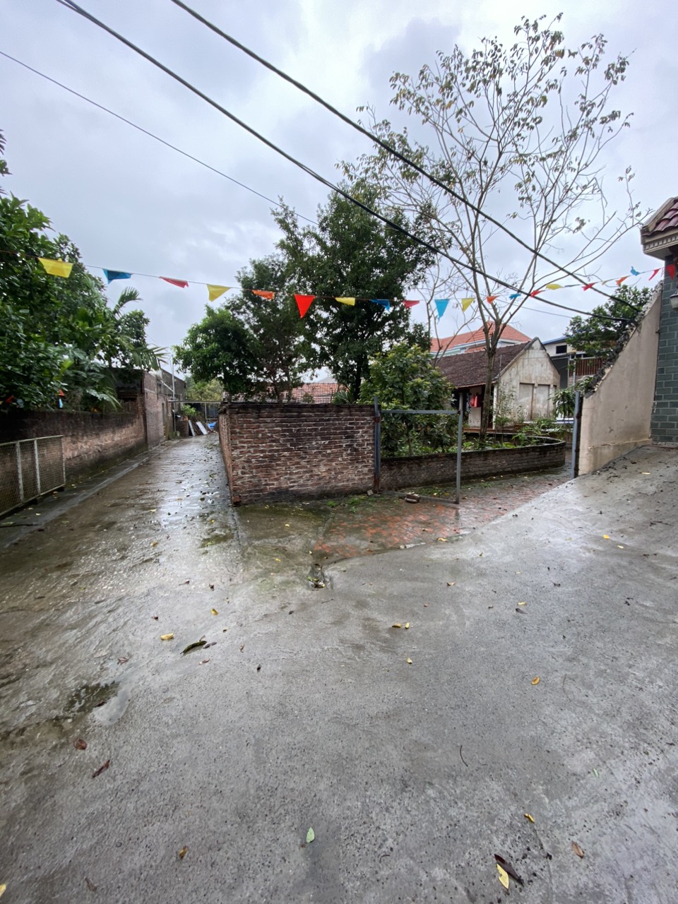 z5263749526801_82e66c3b0e7fc8b13d68cec1d772a951