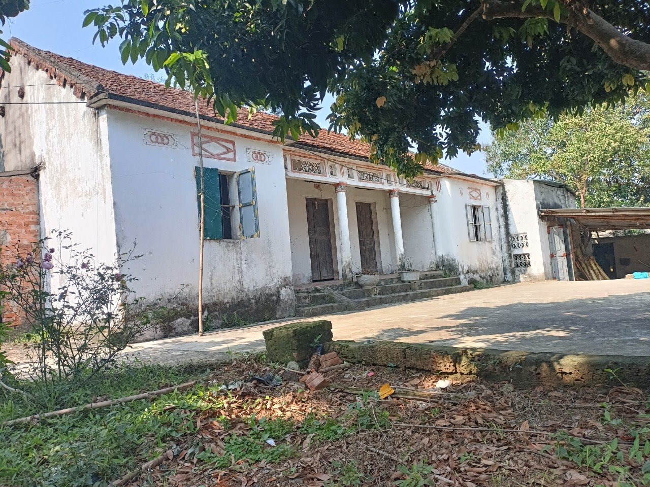 z5264004101365_4deeaaf11a5f9d2724986b19817362d6