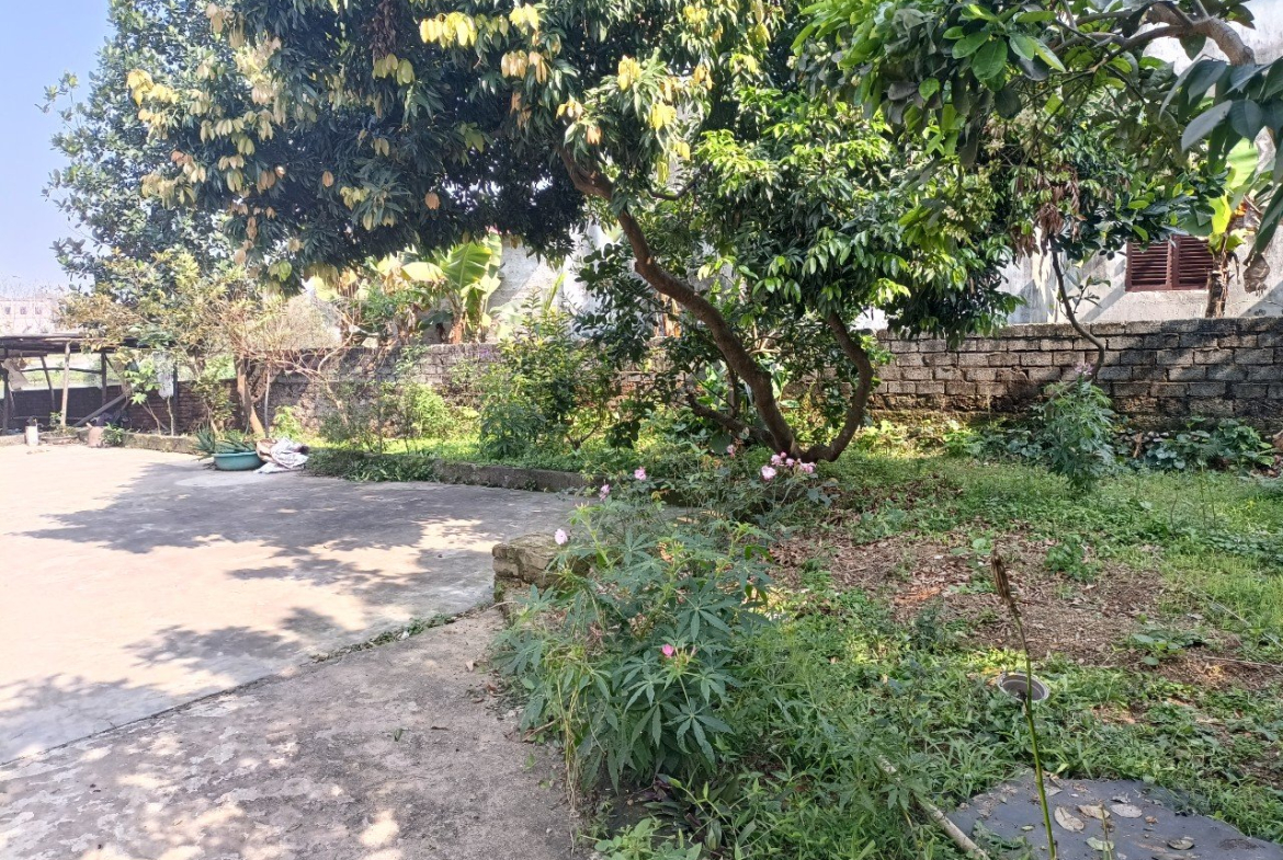 z5264004106142_87dc229a269a2feb3b67a7ebf7a52b86