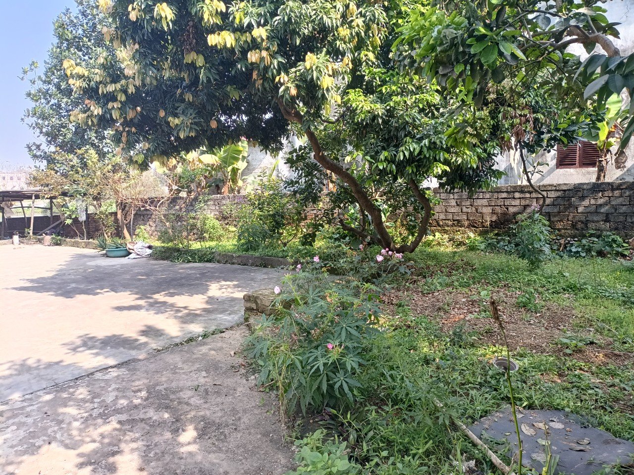 z5264004106142_87dc229a269a2feb3b67a7ebf7a52b86