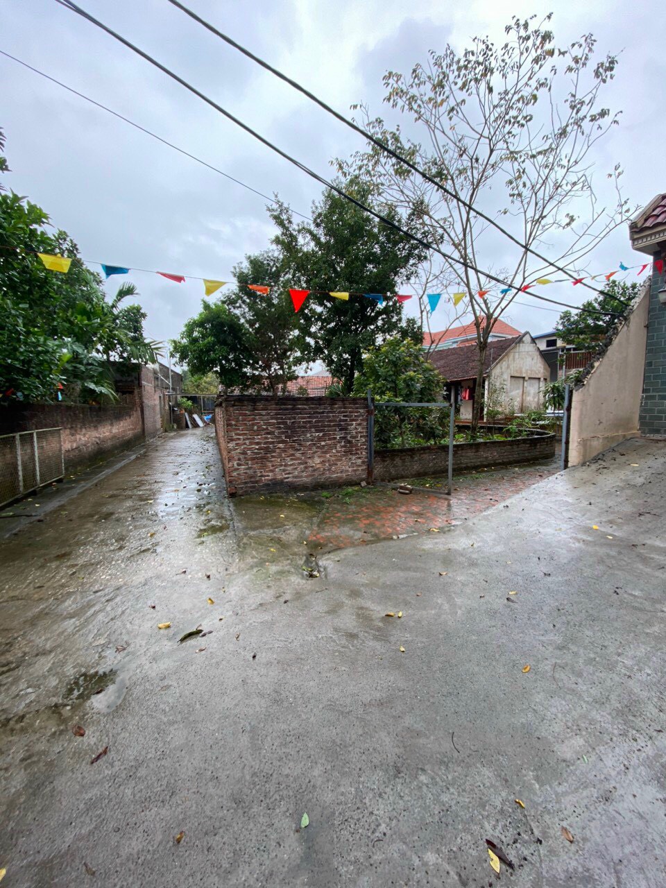 z5264167848377_bfc3590e4c1c2af82af770c3ecd3c13e