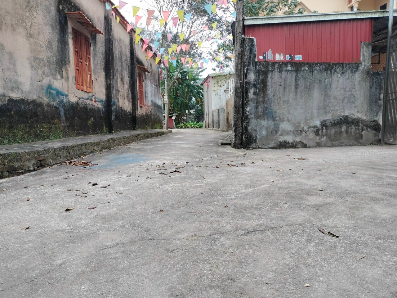 z5264167884590_33770b29c60e91fd35e7ccb73ada3c0b