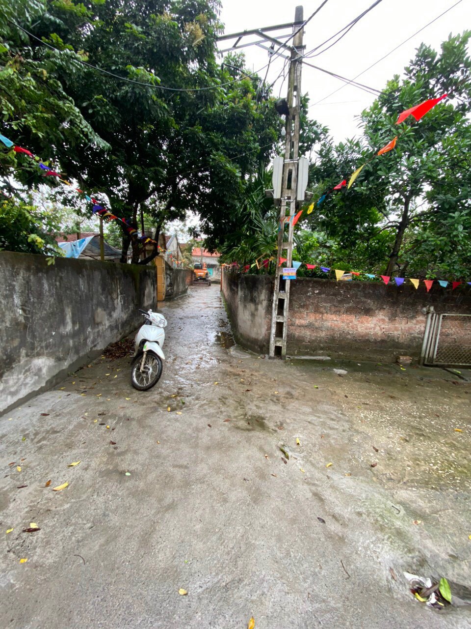 z5264167945076_20c41313b4fd205f8a89b0ac22697154