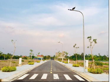 z5264441855552_c31c2223676b1613c98d11c20b5e811f