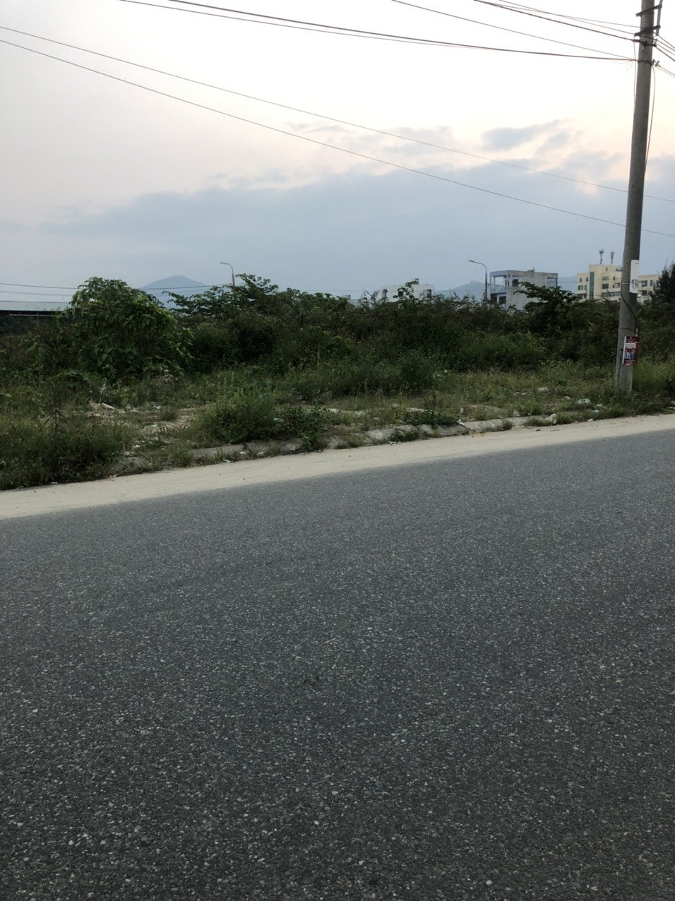 z5266343723669_dbc1dc91e50e0bb24de8e357cbff0c89