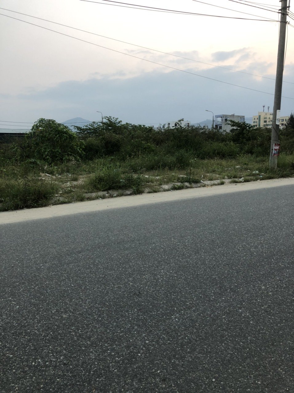 z5266343732441_5392e1eef10c56acee00c89ea0777aaf