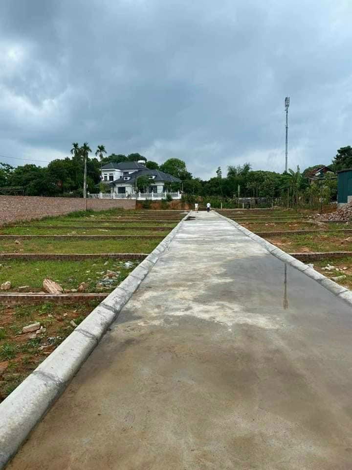 z5266570133683_3637508d462b2c895e83e70eb558894e