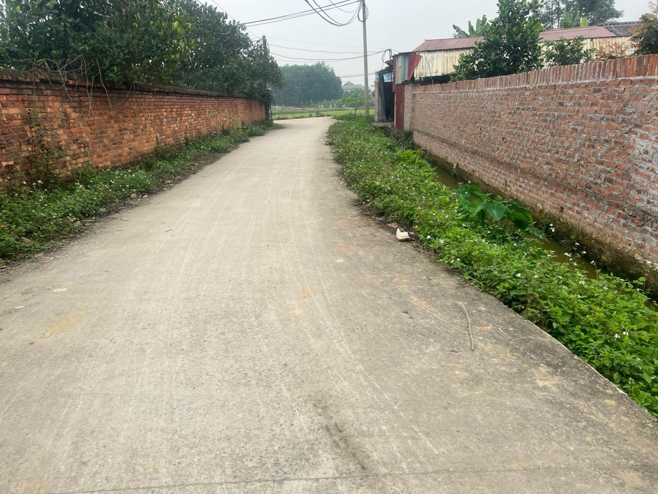 z5266570133866_3faa782b1b6796c1e1bfaf7c3152f934