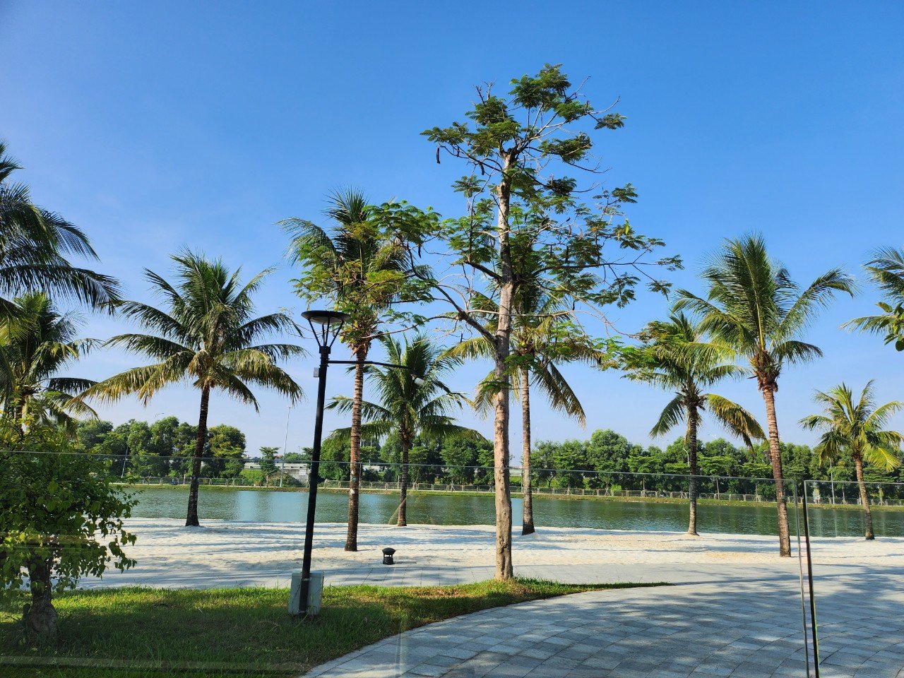 z5266612618283_6a60a2b39944f04faa2419d1a4cb3743