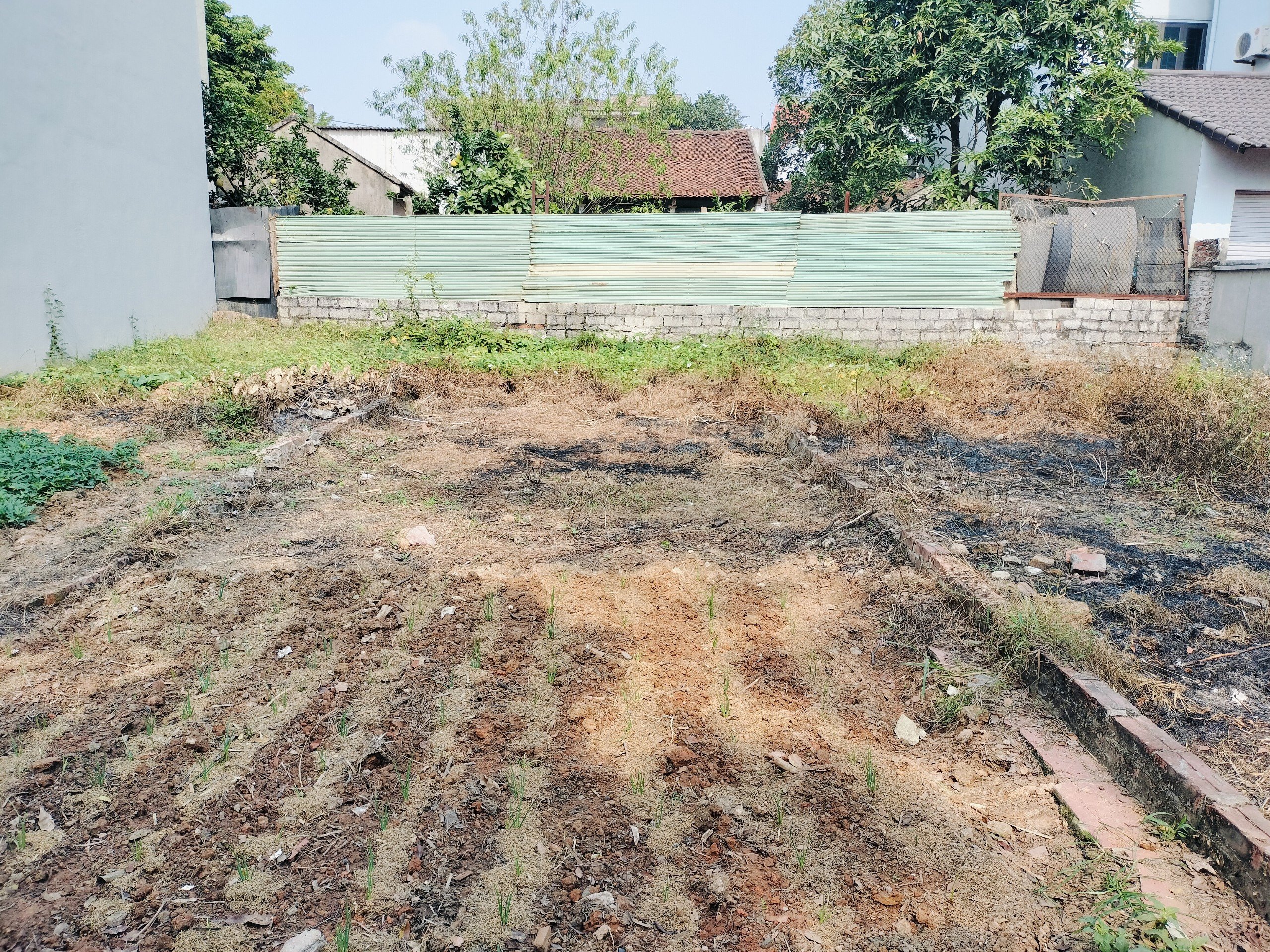 z5267318526477_d81babdaab4d01dd34f8f3251c726ee7