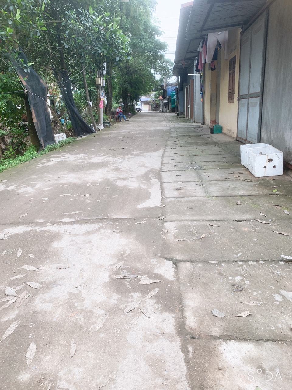 z5267724720152_1cb02c6f89802c92f4f2517da14d6804