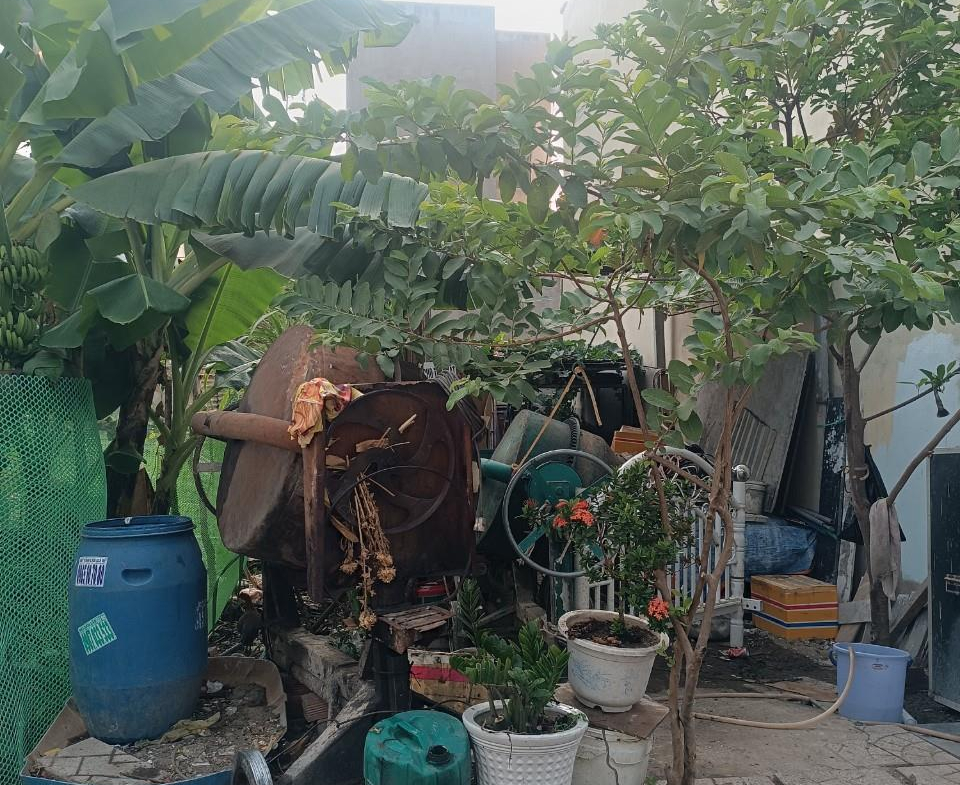 z5267759452276_e35915900f575d9ab1a2e4e7aa2c69ce