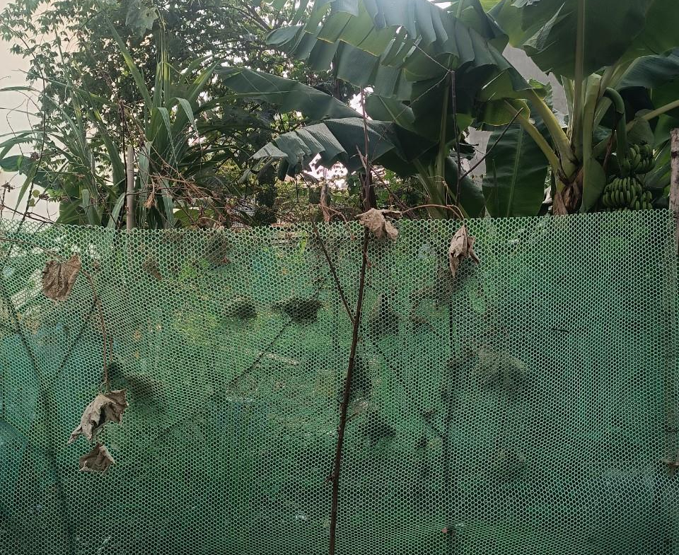 z5267759454023_6d99c5032ce3bf3d9ba7b663df6a9d10