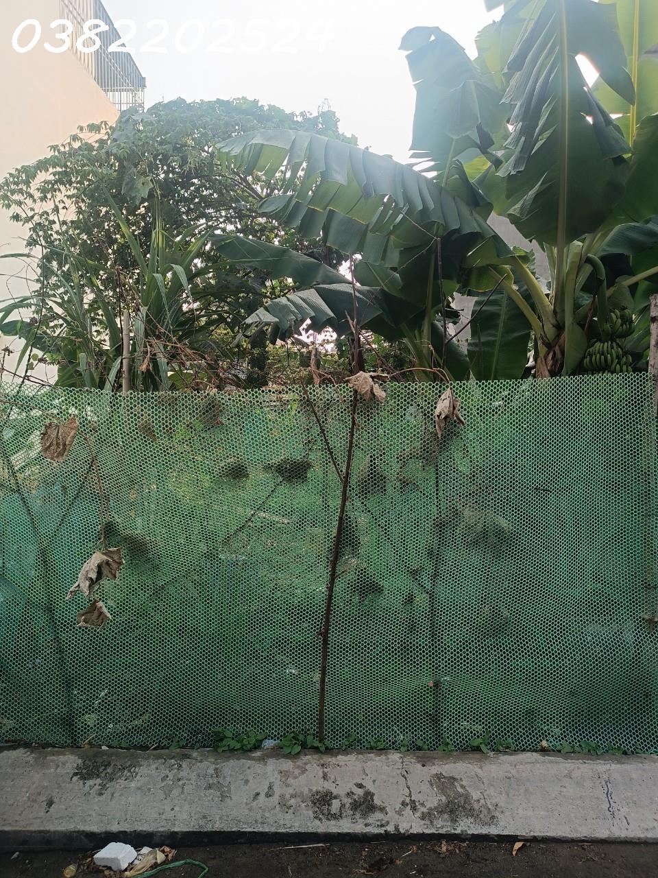 z5267759454023_6d99c5032ce3bf3d9ba7b663df6a9d10