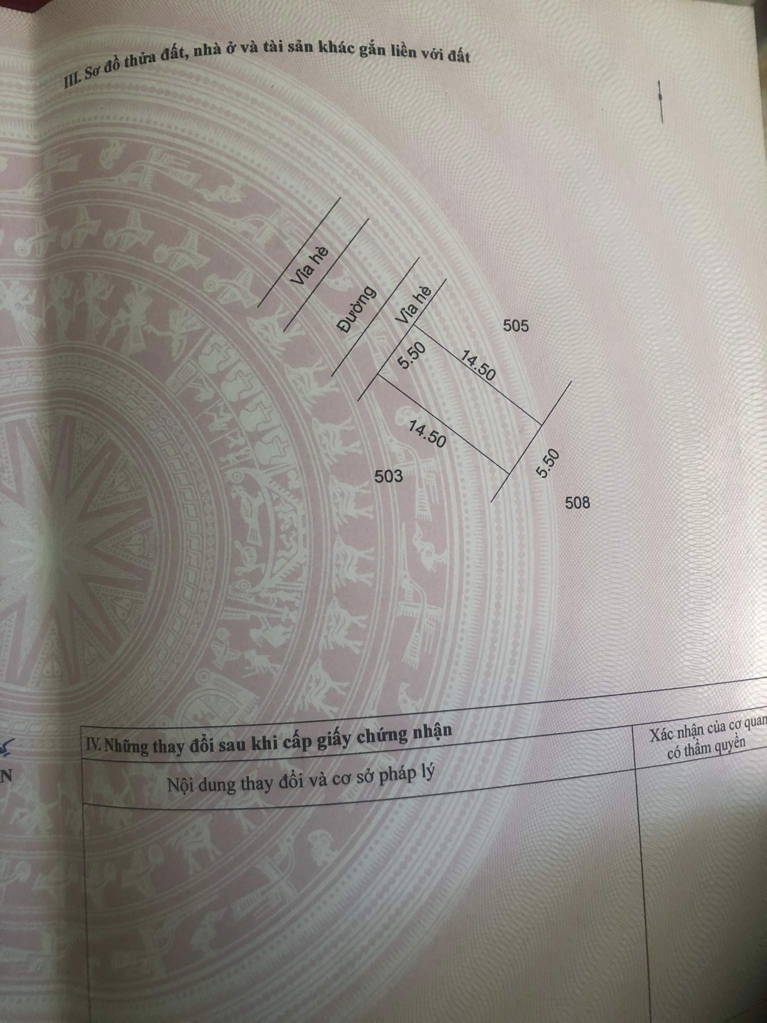 z5268038959408_32a6e46d29d8cc464eef162ac65b8587