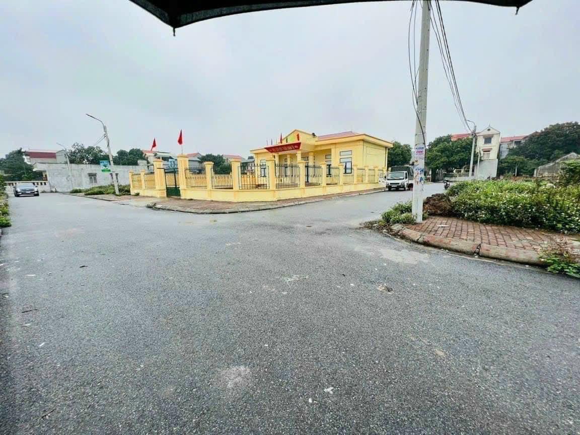 z5268038973741_8e6e10cce4d6d268b955ecd43a82581d