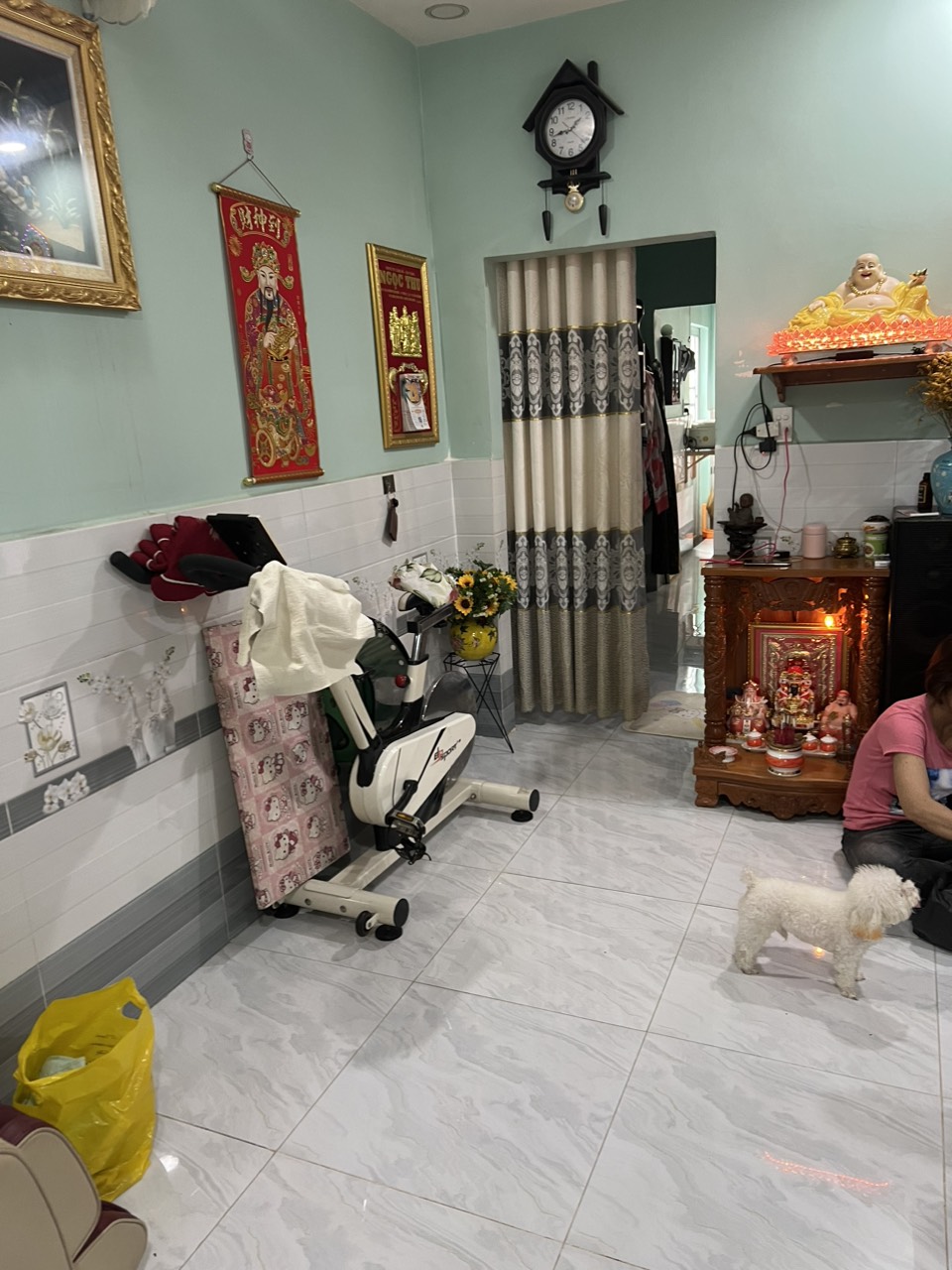 z5272575327841_d90d83e62924d6c004a41f38276e6375