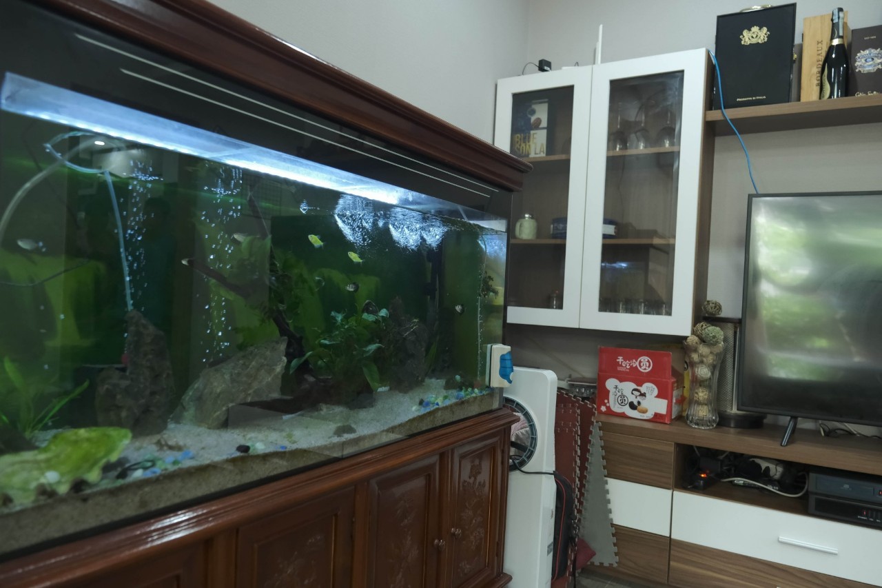 z5273939775444_08075d1c755b32df3d69bb7341fac4e0