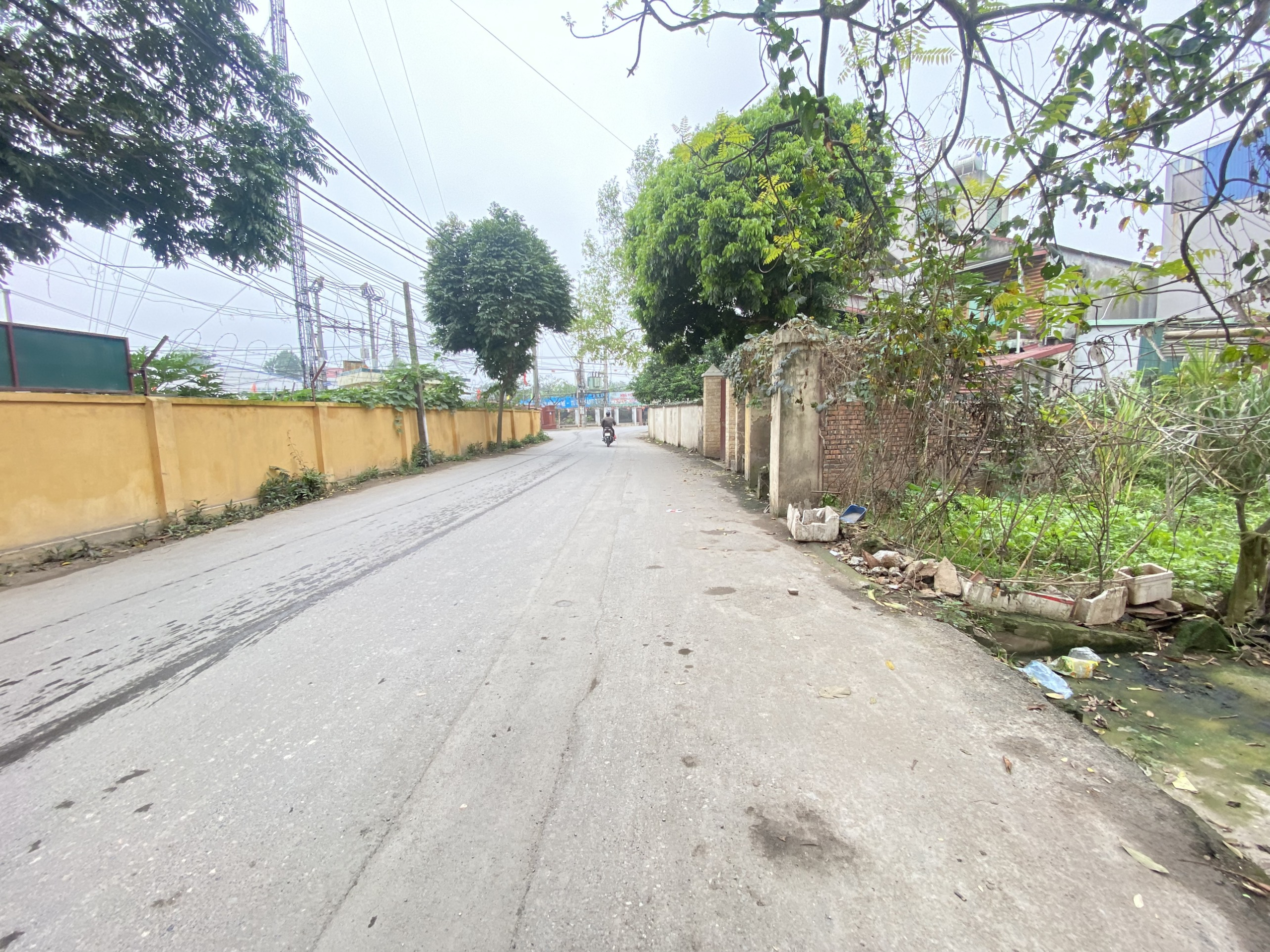 z5273976698331_f7998c6411fa4dceeb48aa39315e3e77