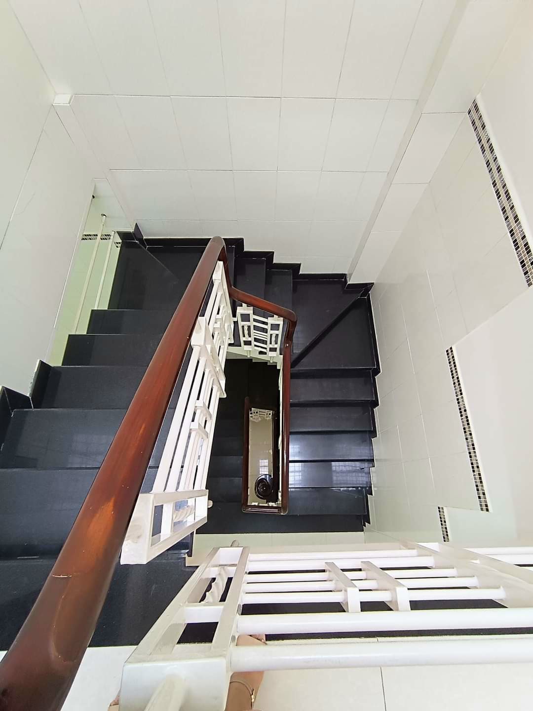 z5274104657239_c76f31744b0674356da39b85f7cb1923