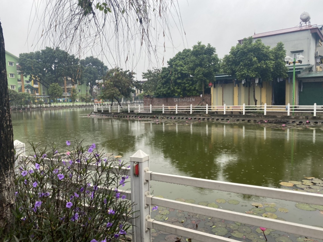 z5277265616262_c0c245421725b4fed6fc23e69bd983e5