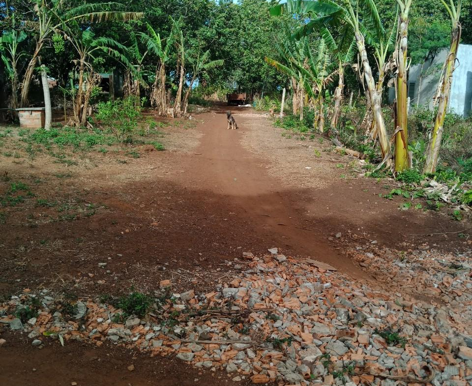 z5278134223990_a2dcf8ba8b909f8efb3dd524261f7033