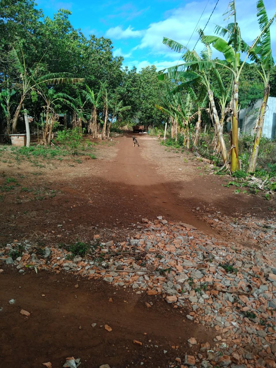 z5278134223990_a2dcf8ba8b909f8efb3dd524261f7033