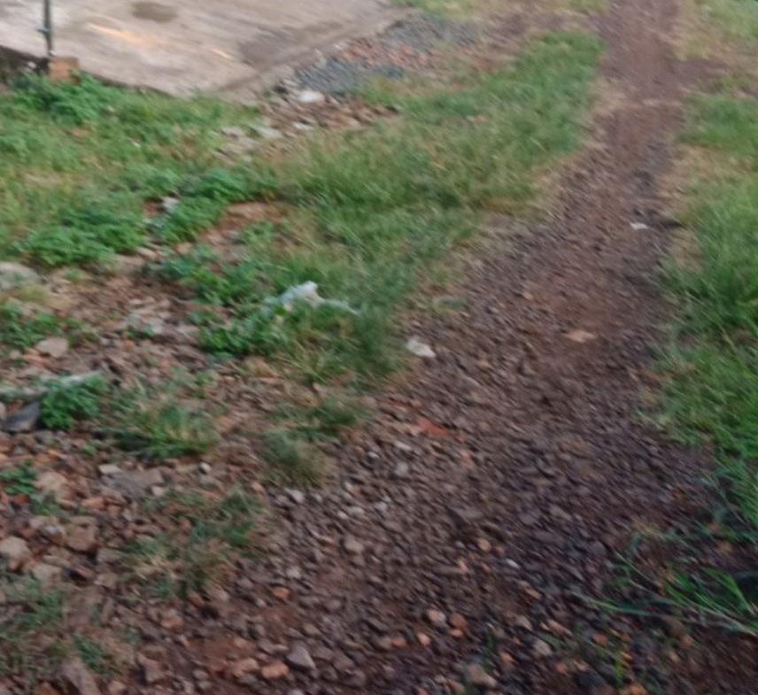 z5278134376487_a84b3f19723621522f579da67c86f89b