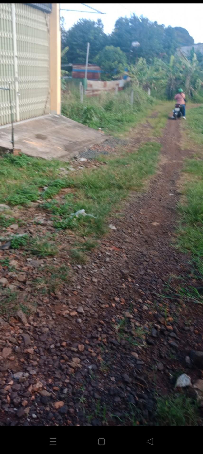 z5278134376487_a84b3f19723621522f579da67c86f89b