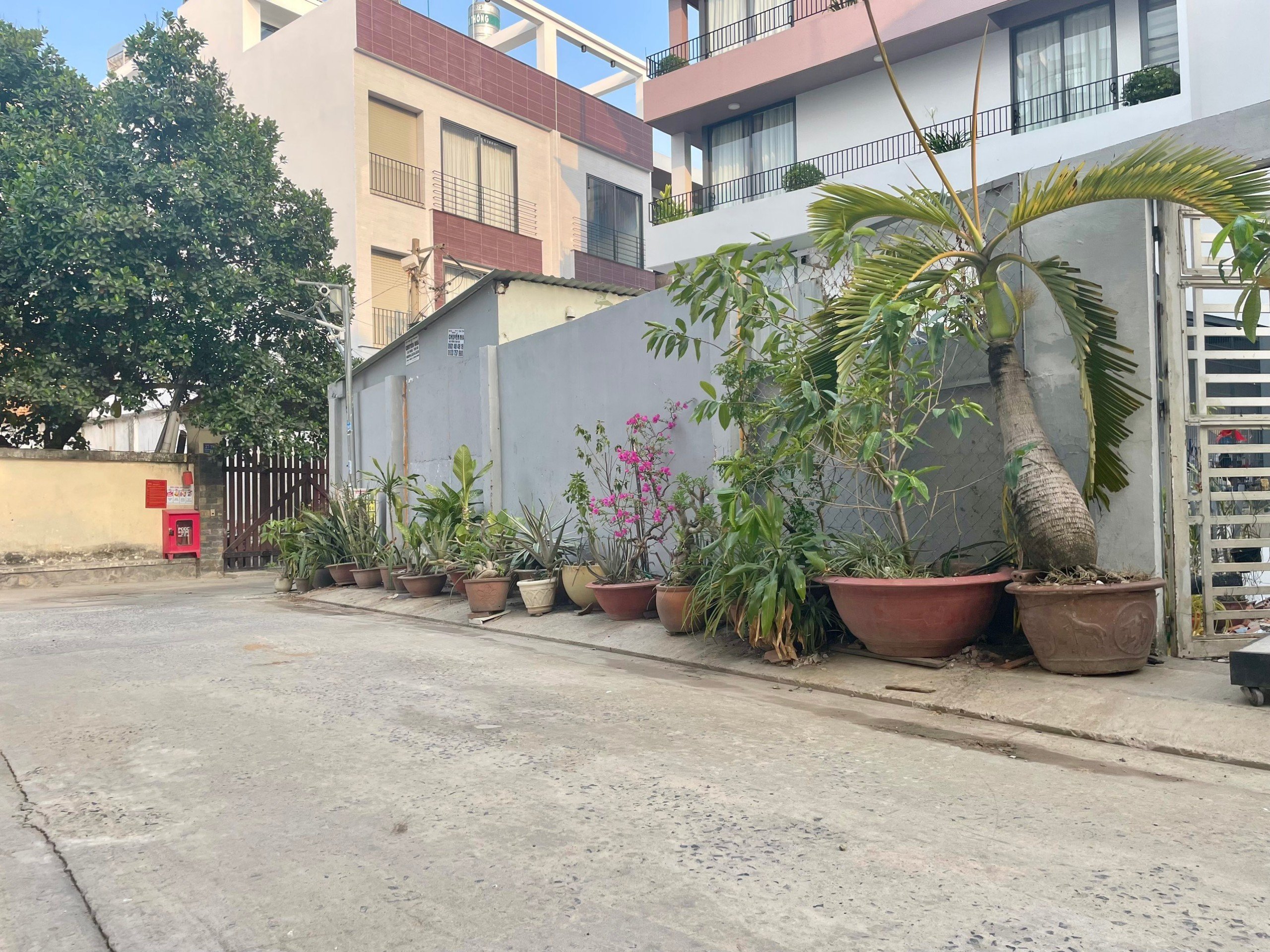 z5281909392534_82249e3ede3c511deb37e1c0652549d3