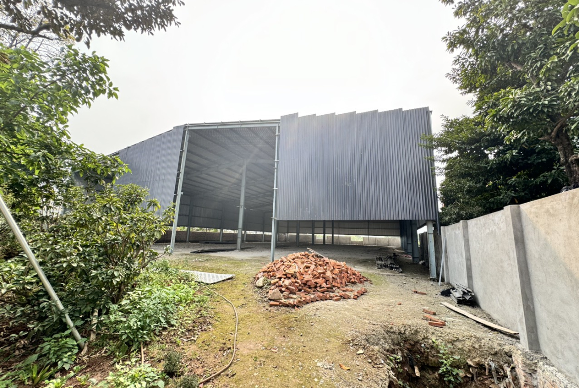 z5281928011428_3067d5c824083b04e1e9bf1dc18b5f8a