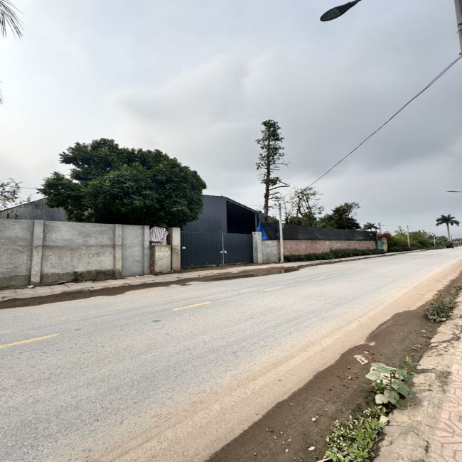 z5281928011596_e5da6e08efd7fe8fcb2a6fe965dcbe22_compressed