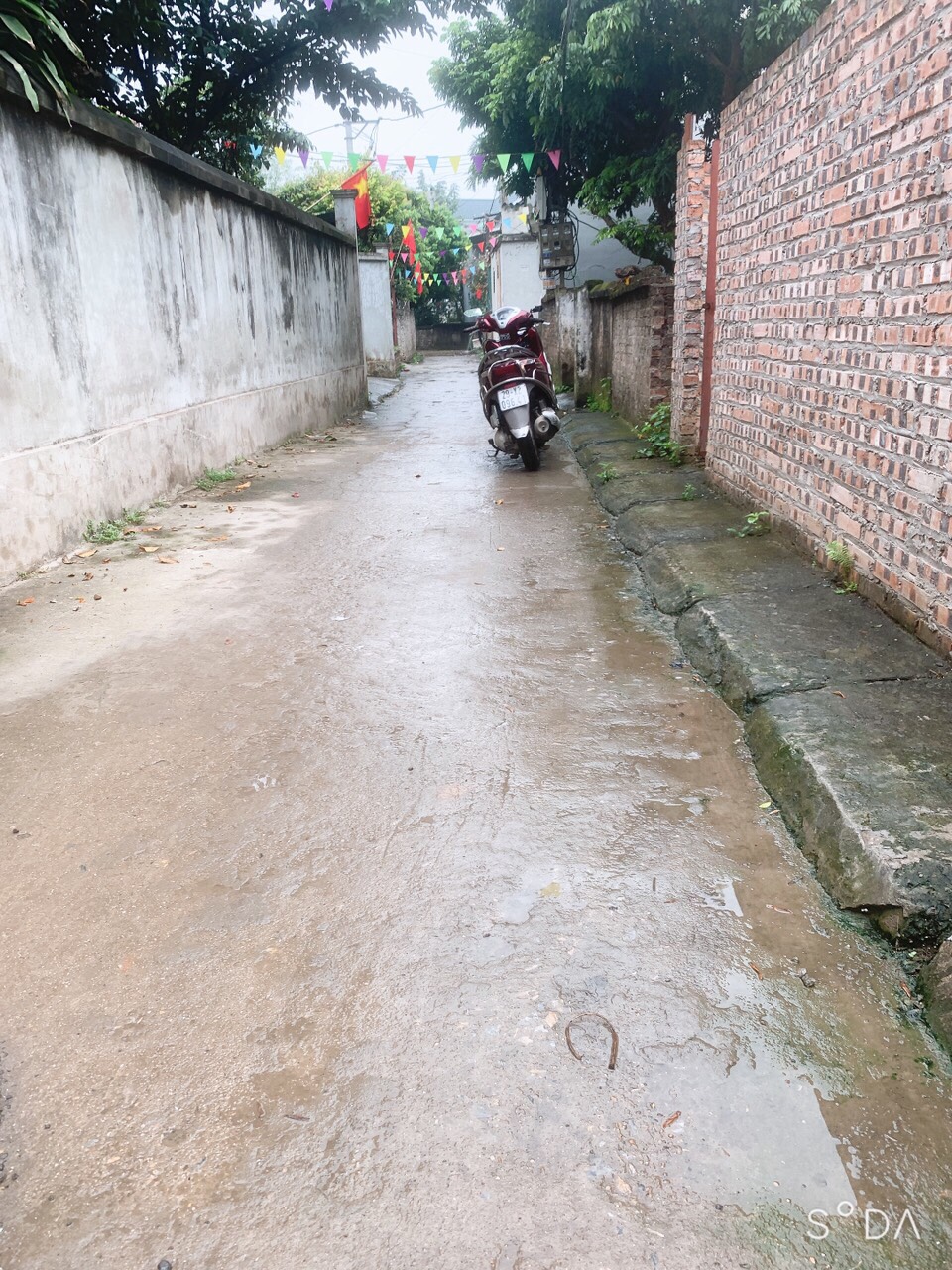 z5281985242243_d07e252b7e2dfe0f049c5dac37cffece