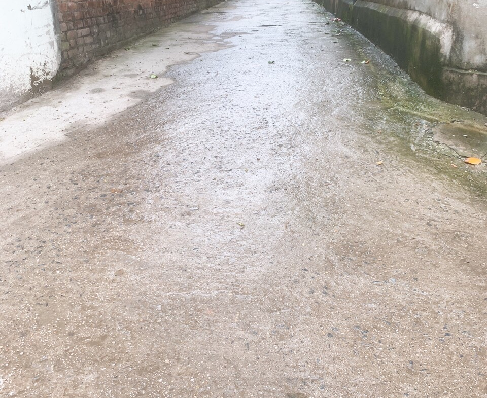 z5281985254120_fcc88f1b5024e797bb9fdaaa8291b708