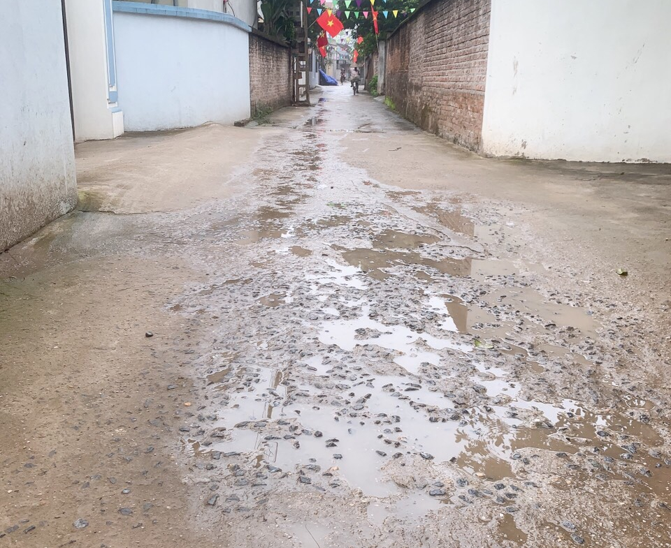 z5281985257869_15210db1674a03d32d6de33f48b8175a