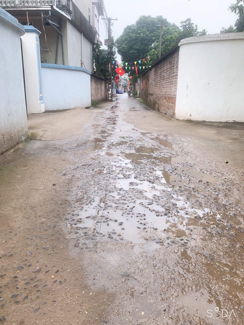 z5281985257869_15210db1674a03d32d6de33f48b8175a