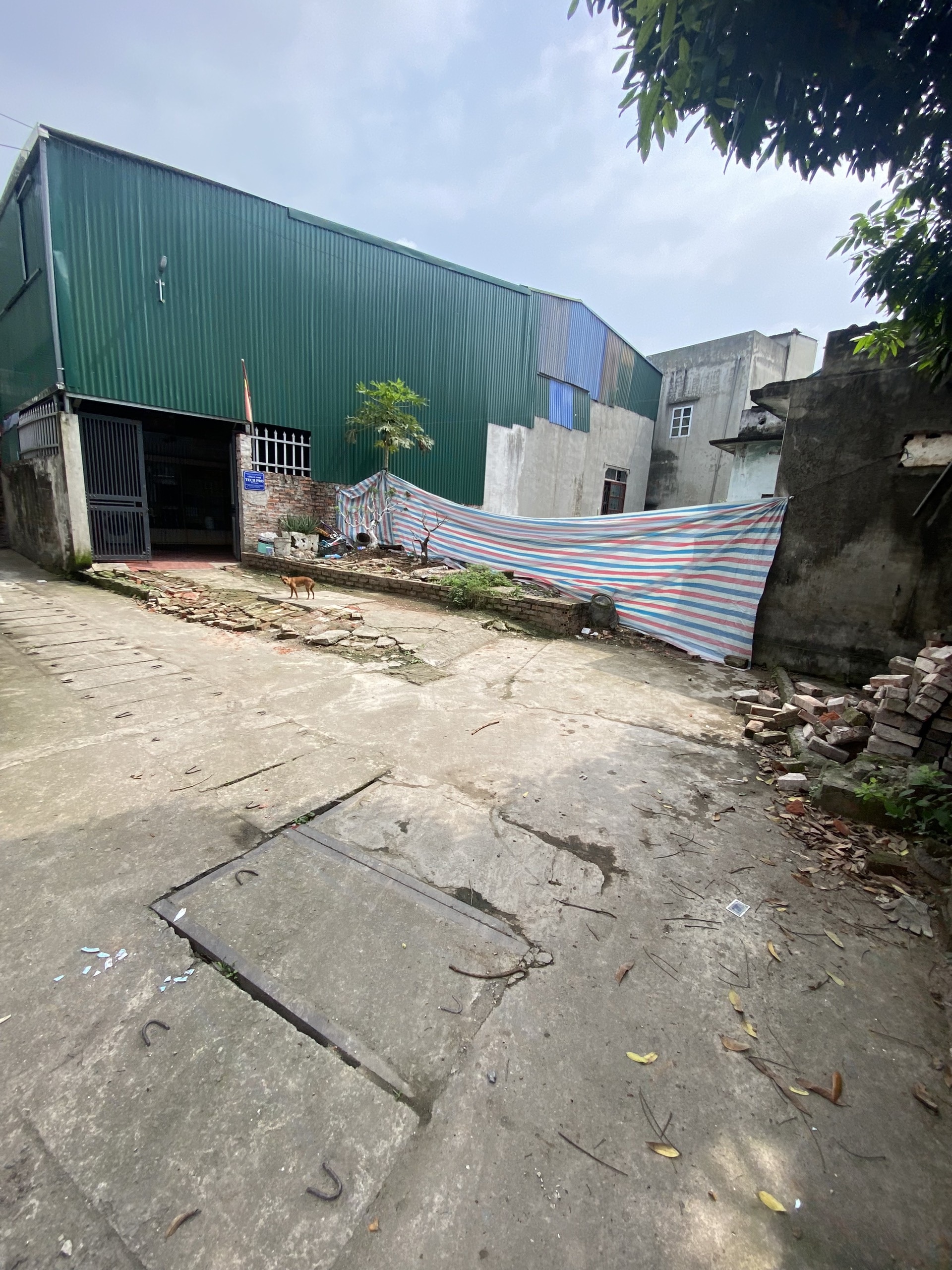 z5282589118814_f12debea52c684e317c39beb84b37478