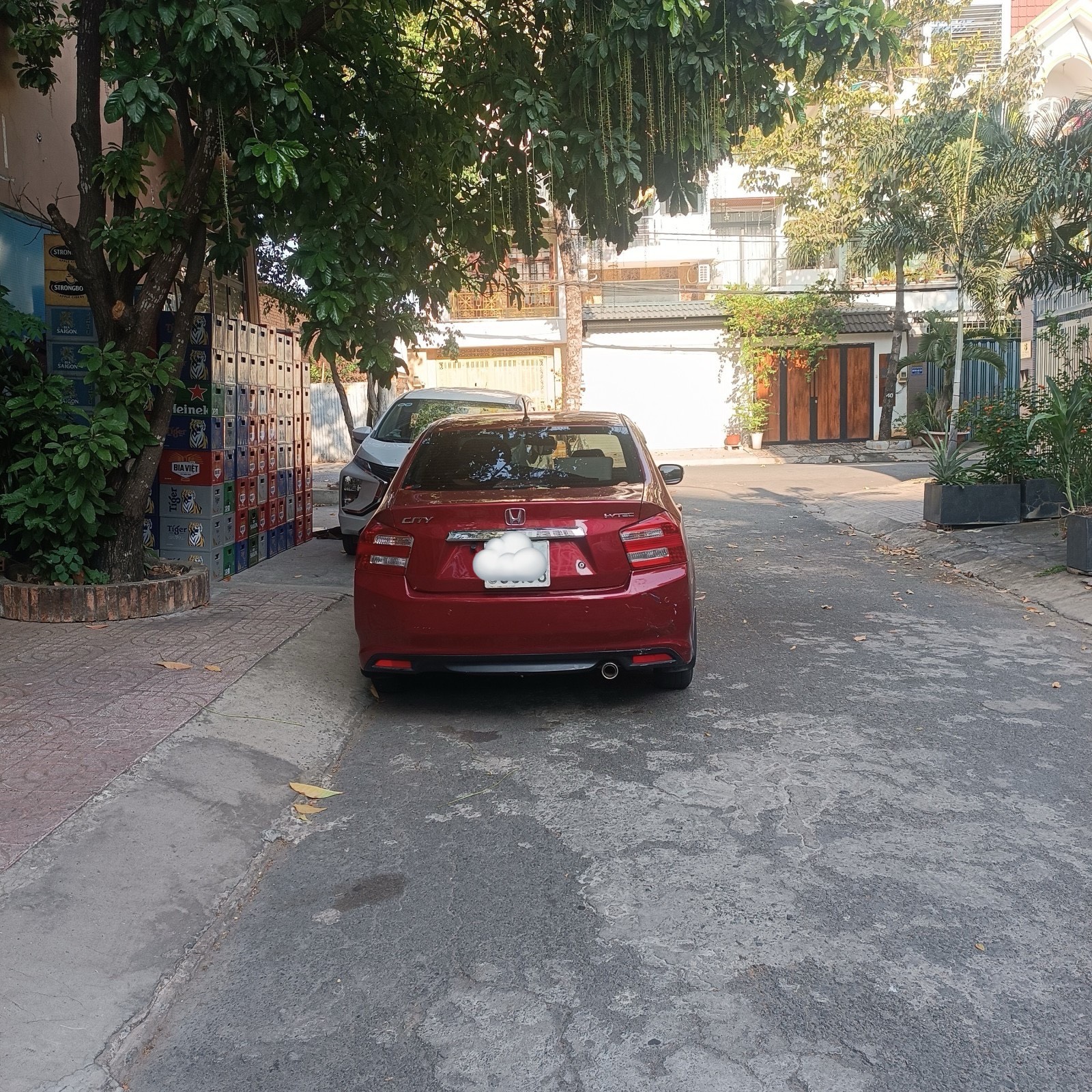 z5283805916714_1ddcb8e7b0d5d3b7ada3150e5cbe8c2b