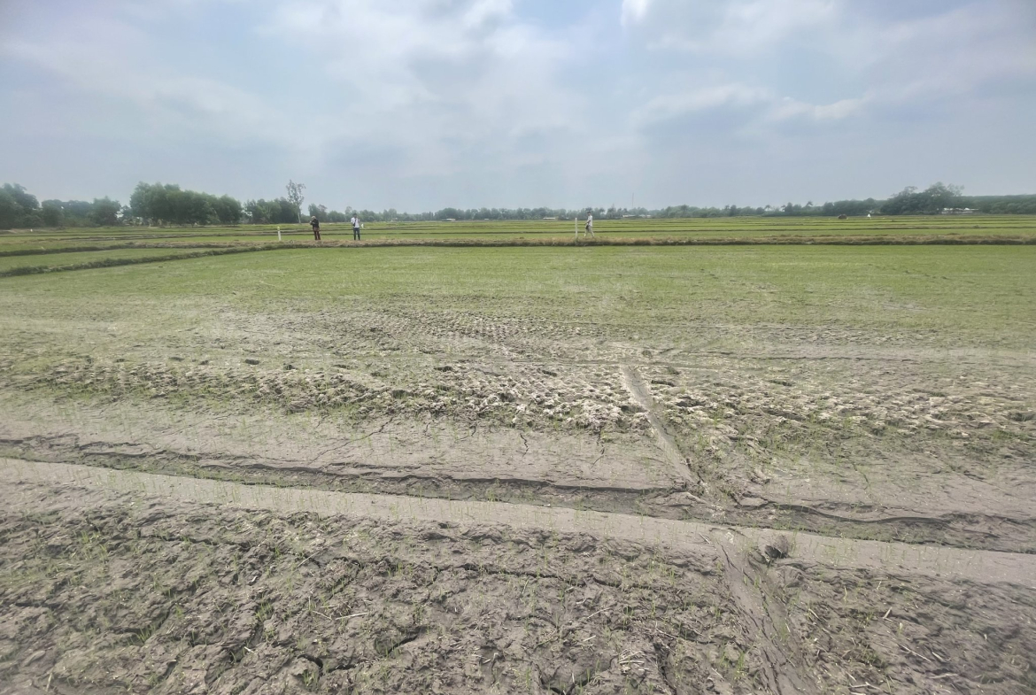 z5284392844465_e862a13f4db5598f17742029a0de2ab9