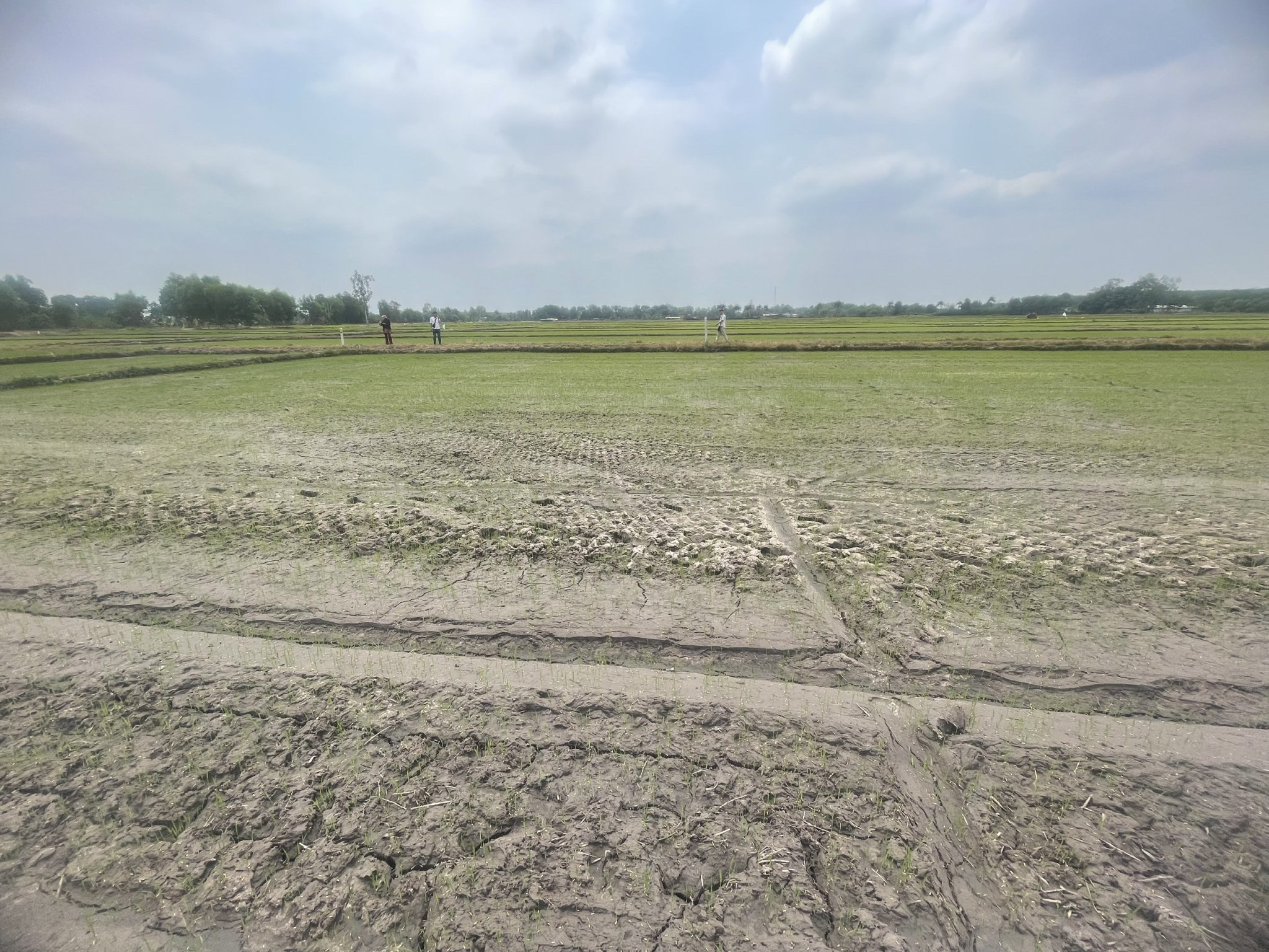 z5284392844465_e862a13f4db5598f17742029a0de2ab9