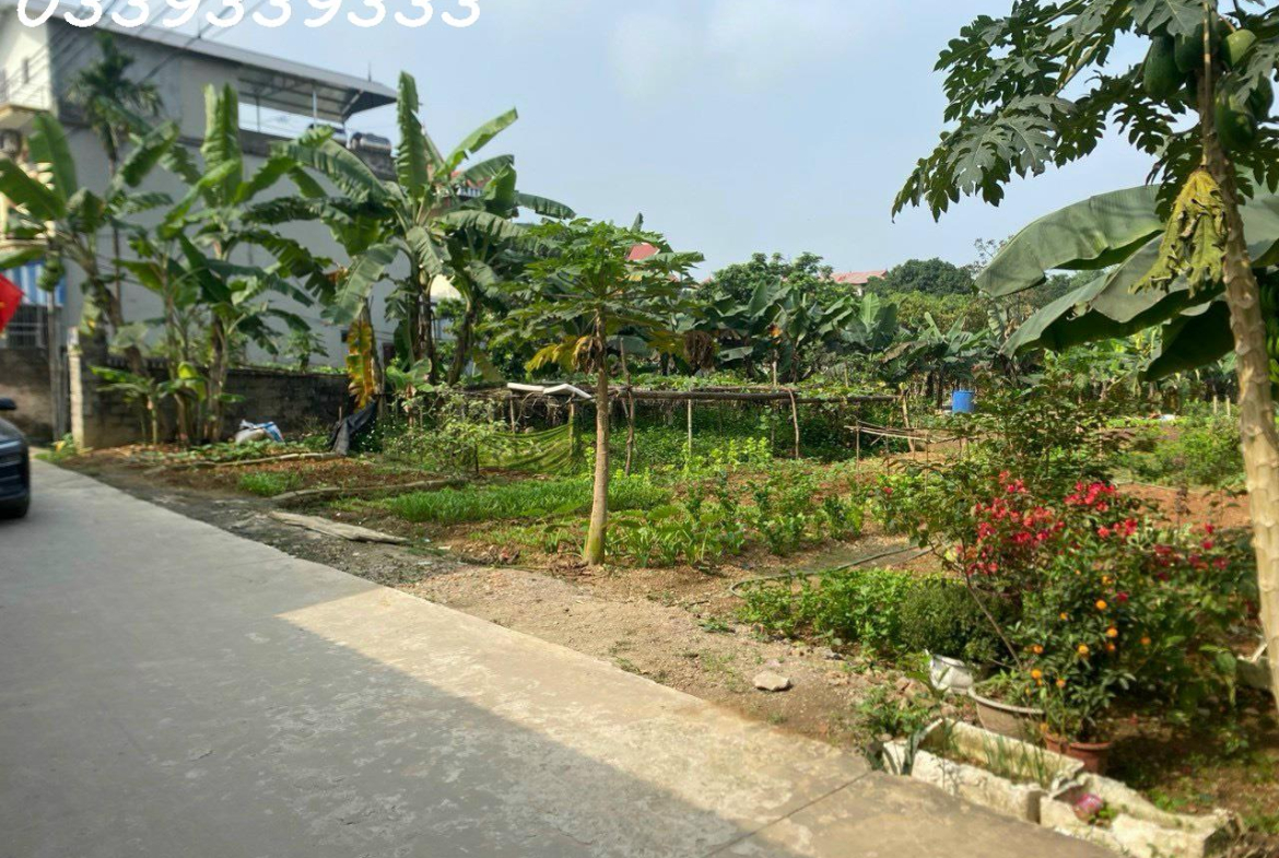 z5289662813416_5a3a7cbd6b93f0567e50eb3b3553ad54