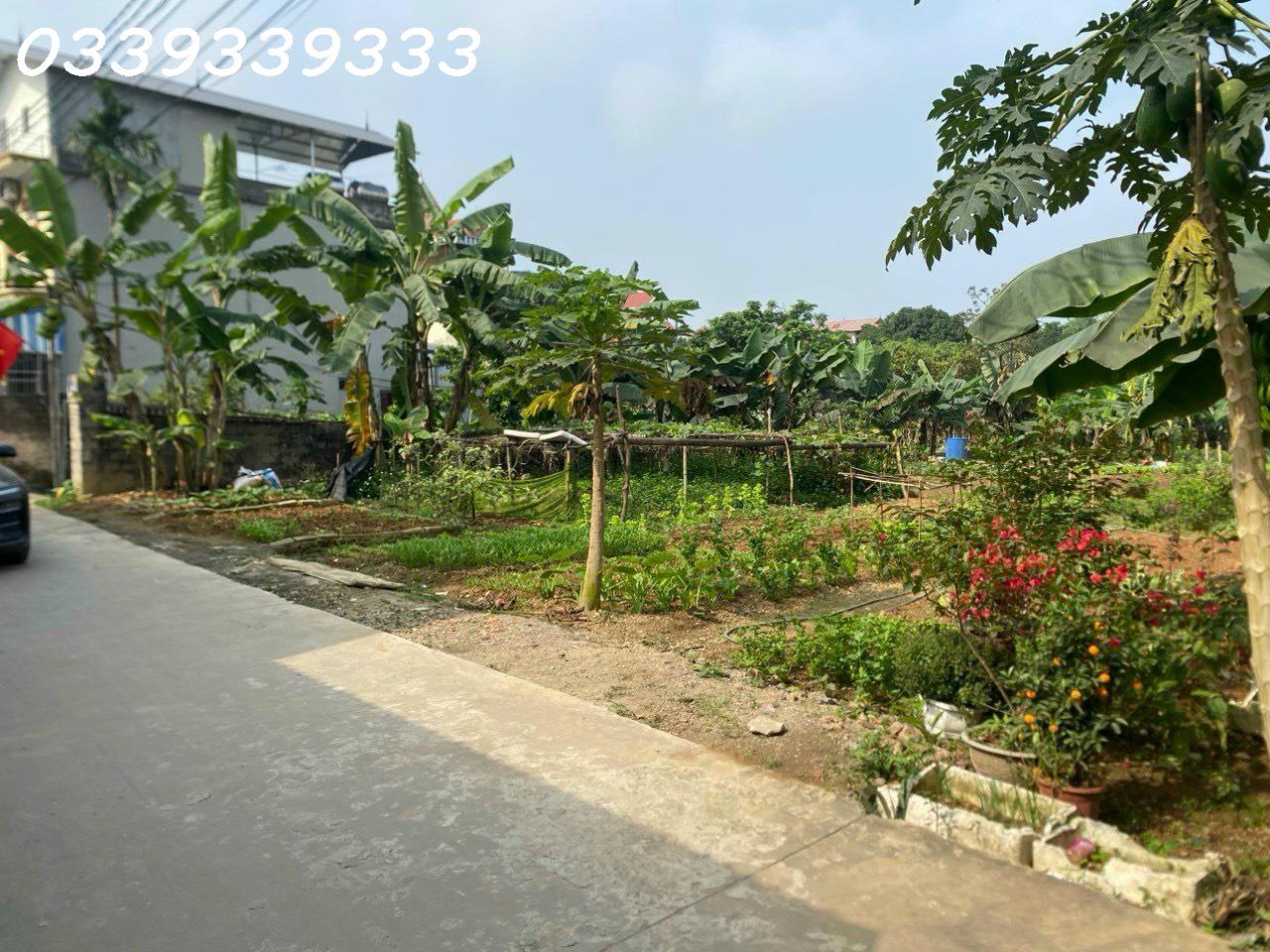 z5289662813416_5a3a7cbd6b93f0567e50eb3b3553ad54