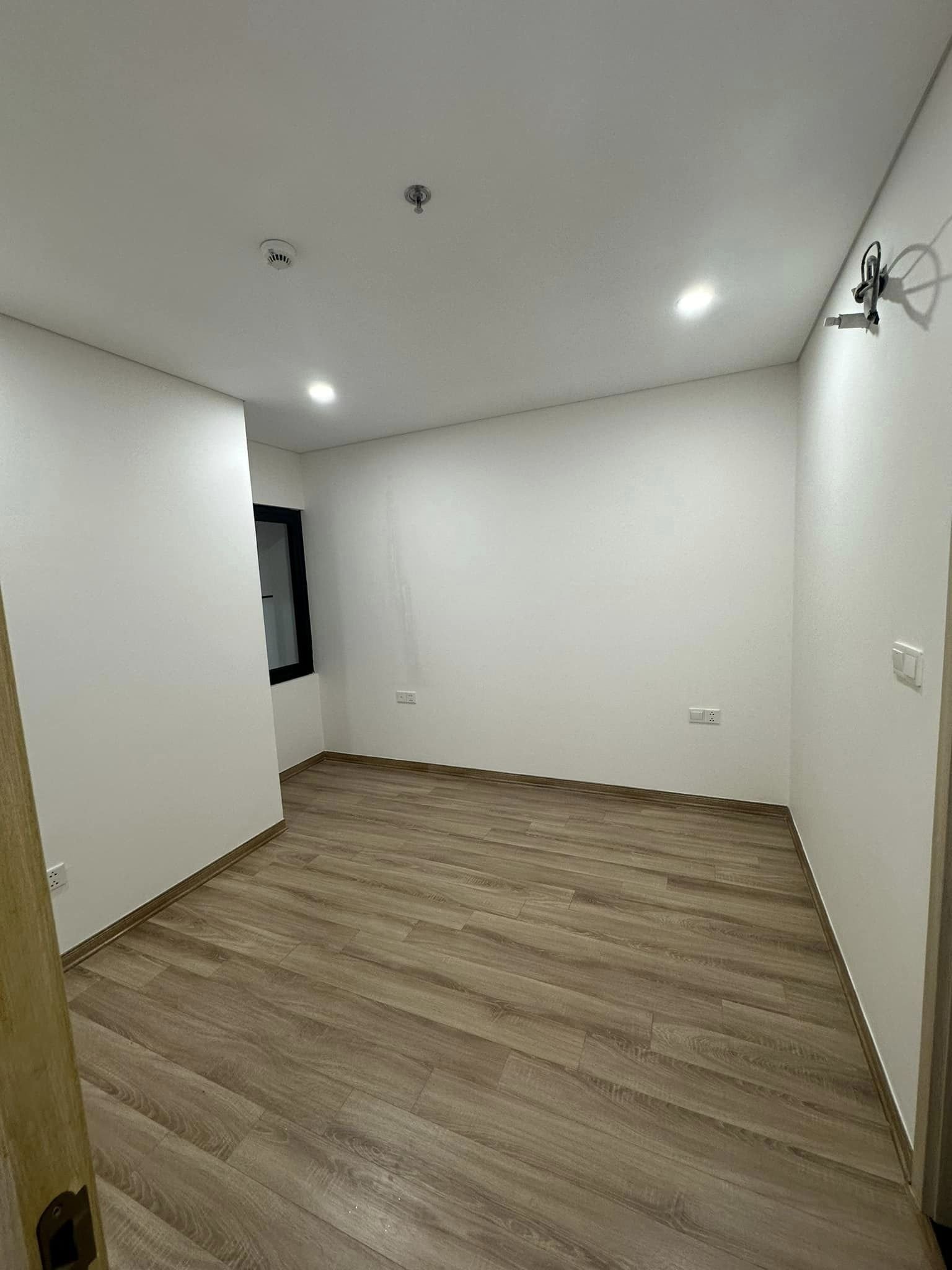 z5289669493422_3870bee82c5bbe42607bd6f778b3b66b