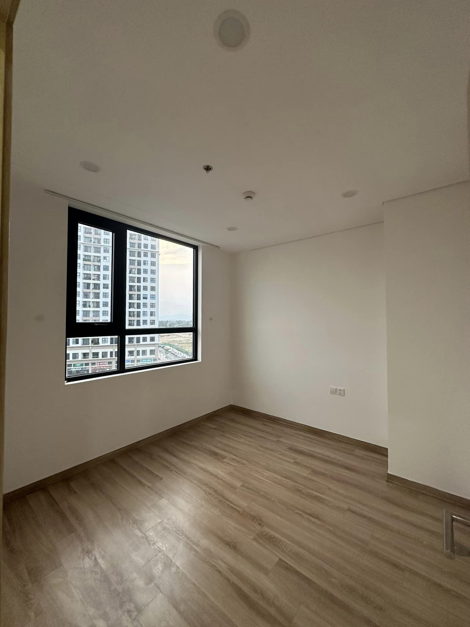 z5289669525591_4fc788ef68d93fb6168fb12ce8b20d22