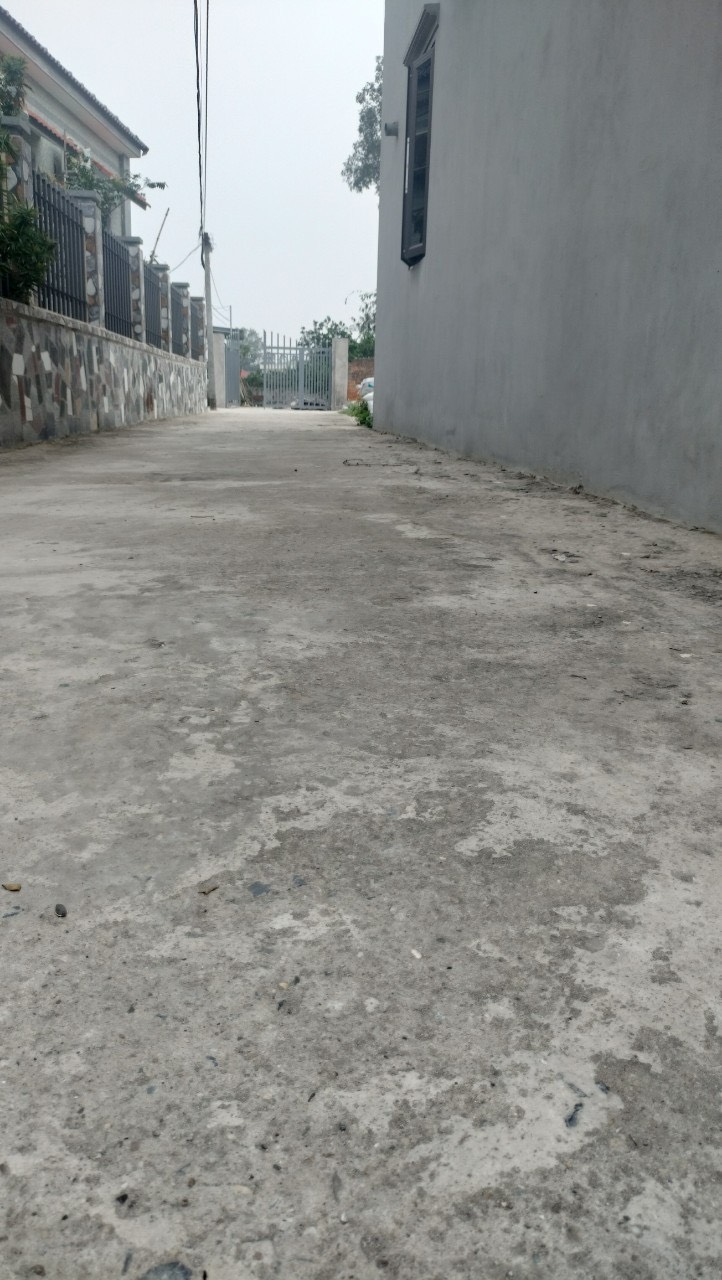 z5291088665245_35e2769148856b328a8a655f01f82480