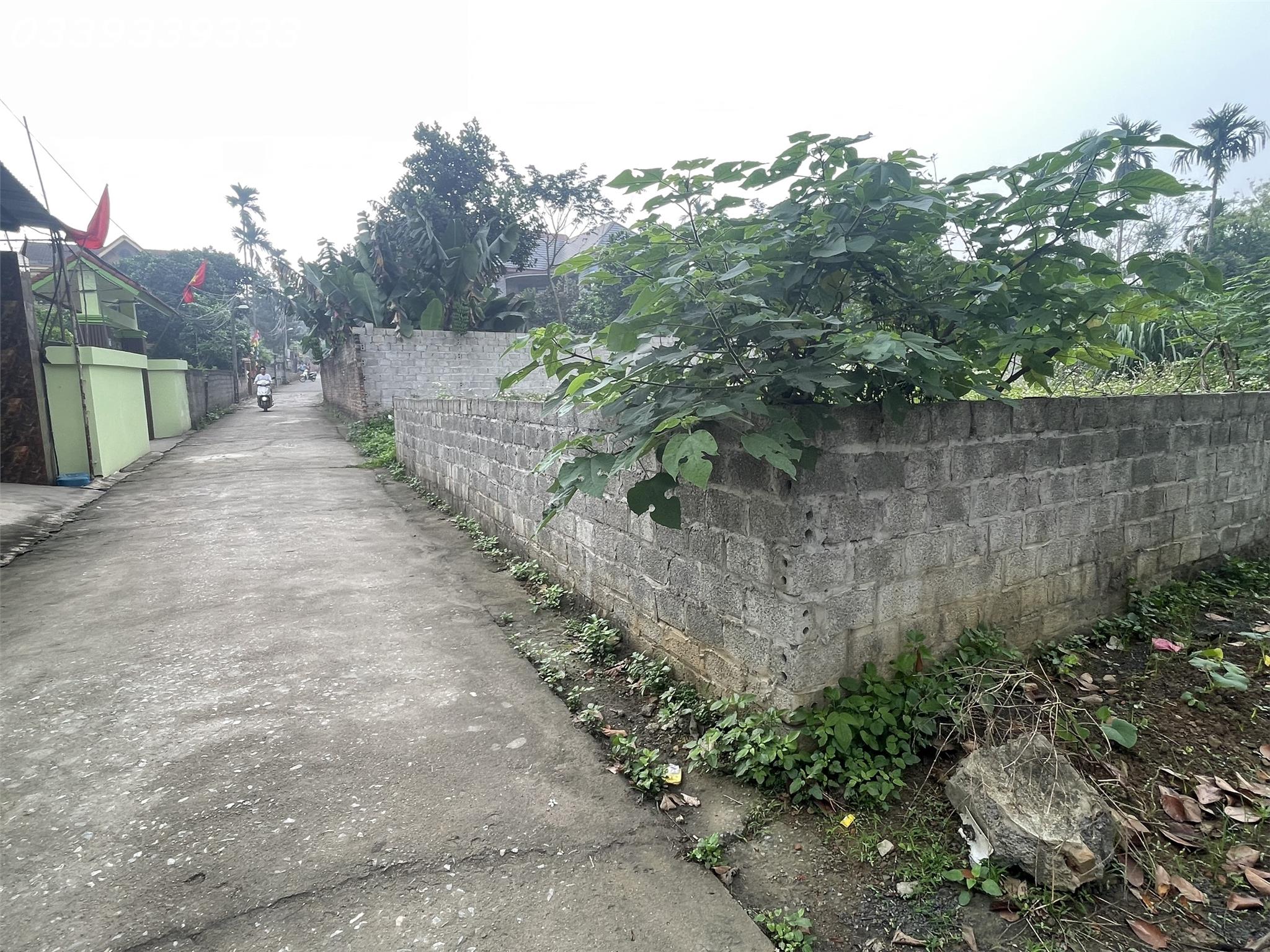 z5295080276253_88501fe9c2699f885f77f9d69876e4b7